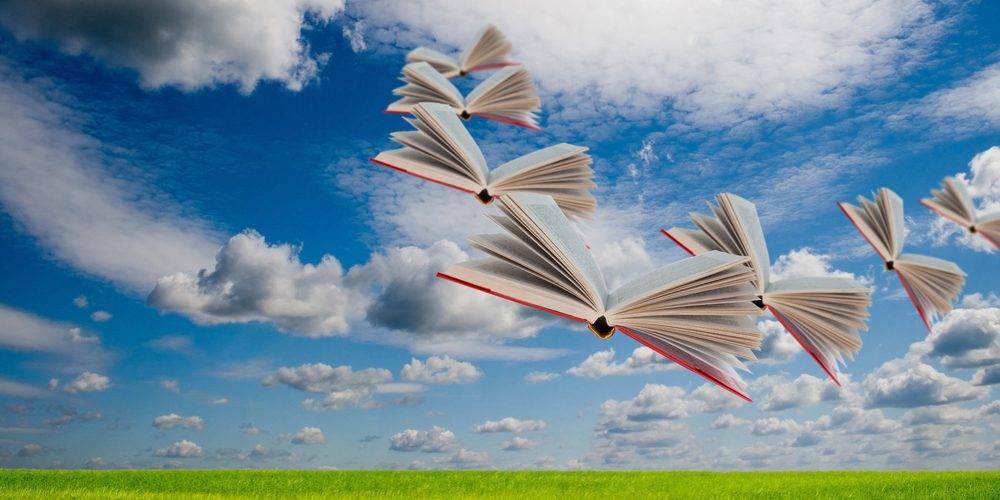 que-oposiciones-debo-elegir-veropo que-oposiciones-debo-elegir-veropo