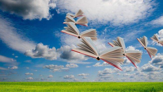 que-oposiciones-debo-elegir-veropo