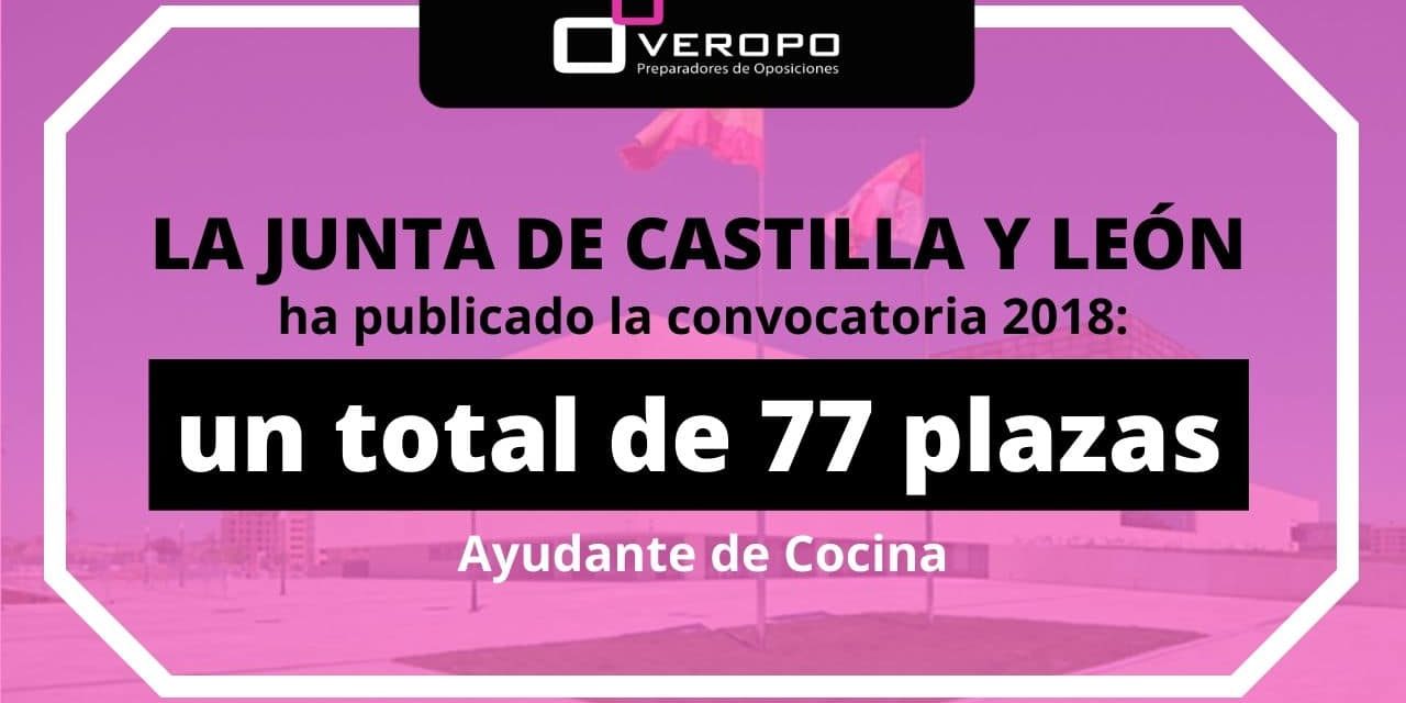 Convocatoria JCYL Ayte Cocina (2)