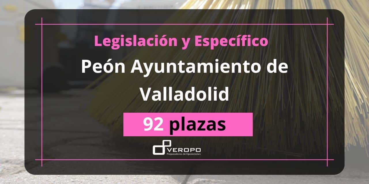 Copia de peón ayto valladolid