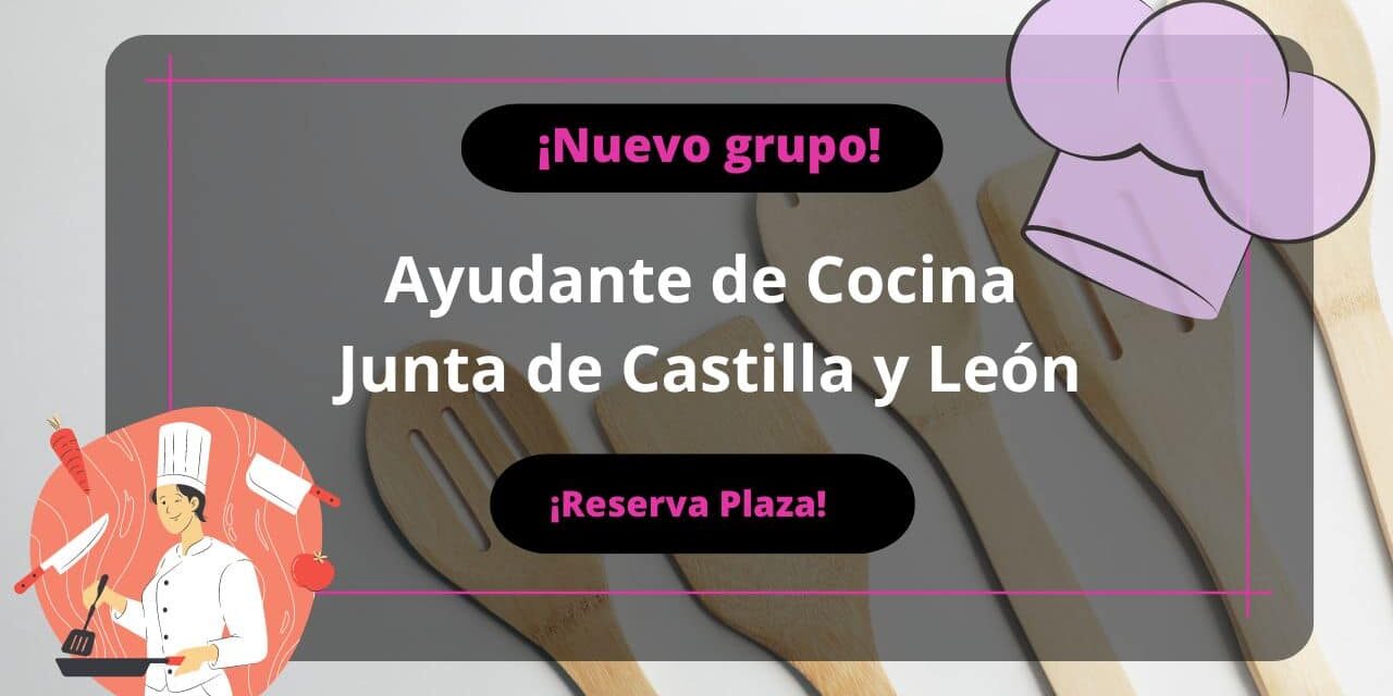Ayudante de cocina