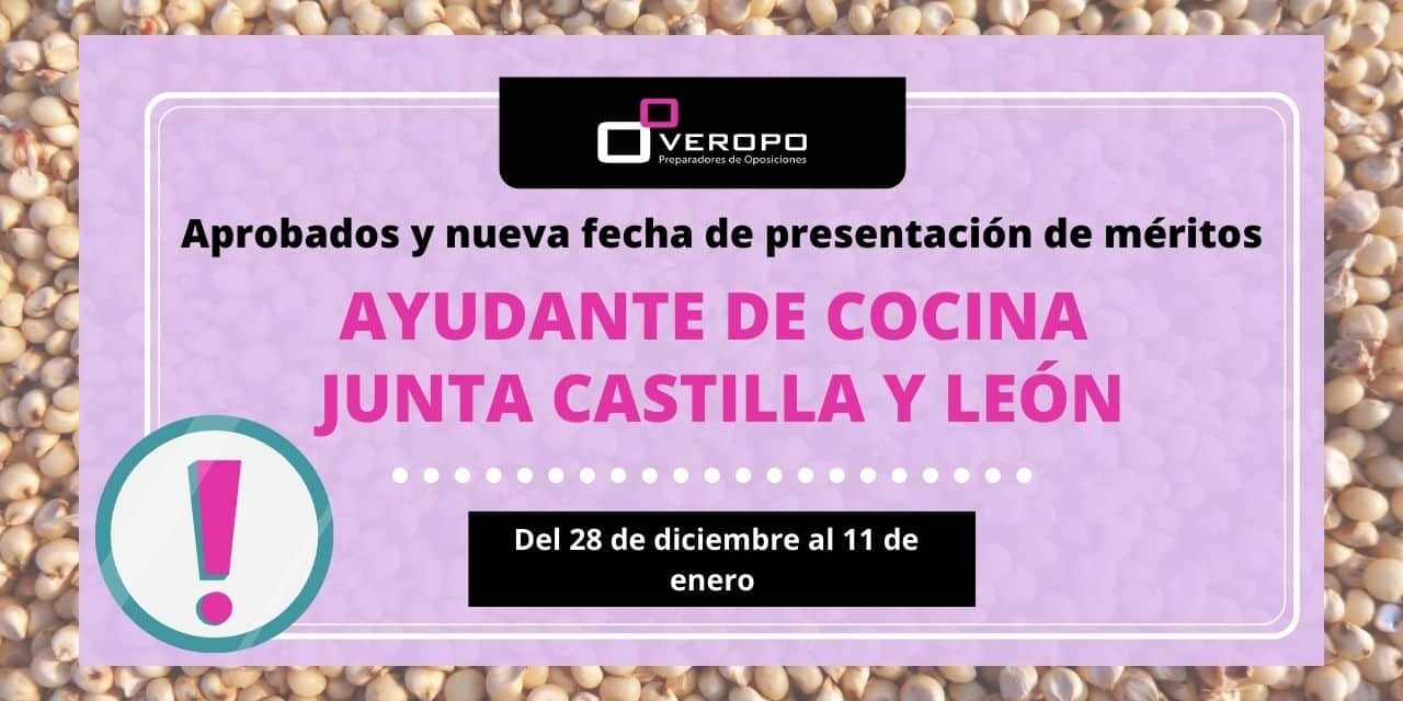 nuevo plazo ayudante de cocina