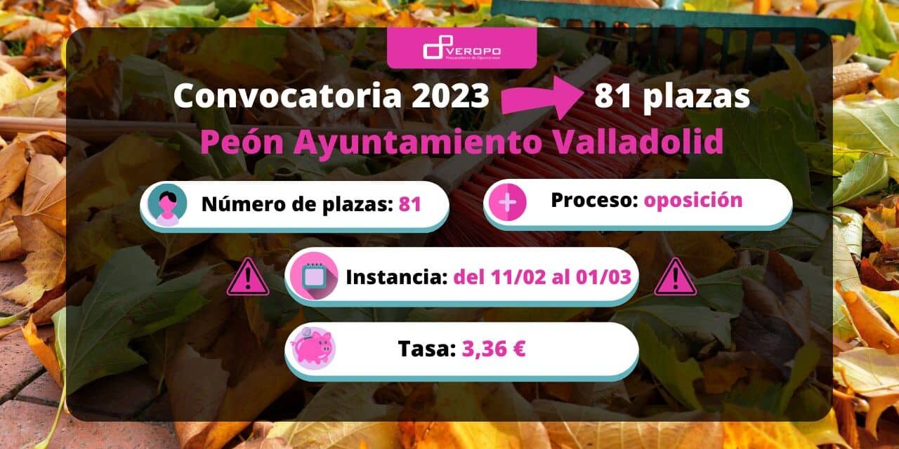 plazo instancia Peón