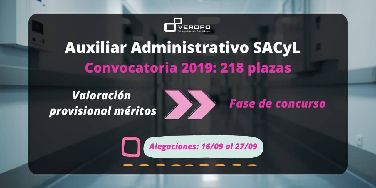 valoración auxiliar sacyl